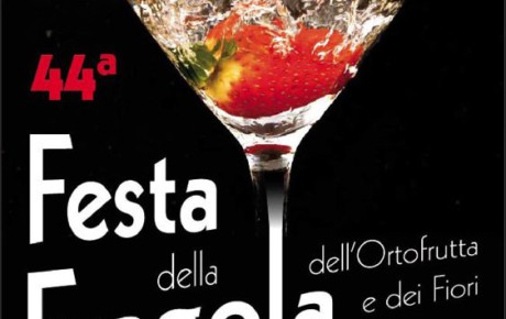 Festa della Fragola di Camposampiero – Ed. 2016